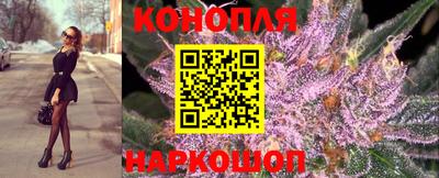 дмт Краснознаменск