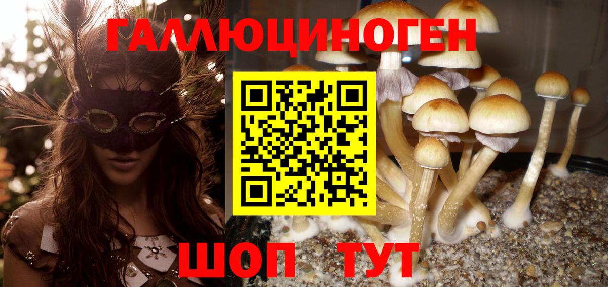 Псилоцибиновые грибы мухоморы Кировск
