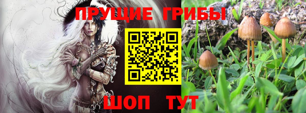 Метамфетамин Кировск
